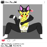 Elan Cat Profile Picture