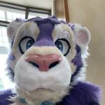 Nibs Profile Picture